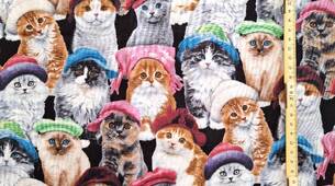 Tissu chats avec bonnets